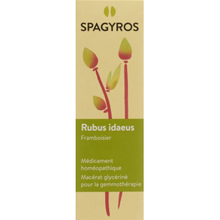 SPAGYROS GEMMO Rubus idaeus Glyc Maz D 1