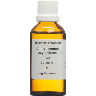 SPAGYROS SPAGYR Cinnamomum zeylanicum