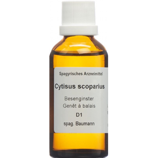 SPAGYROS SPAGYR Cytisus scoparius