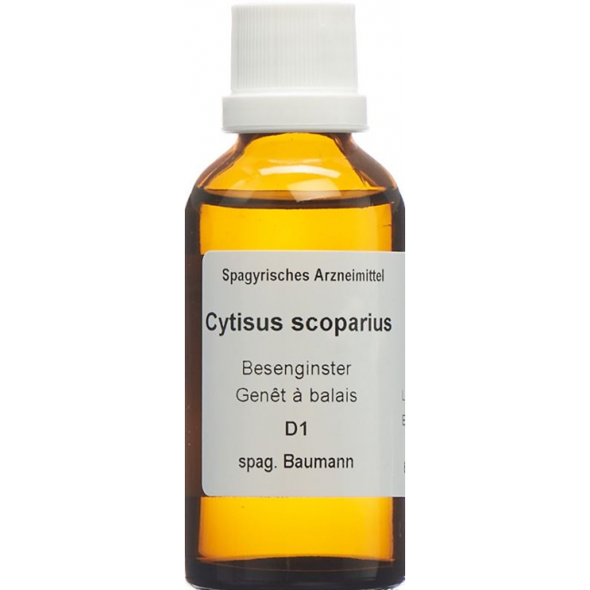 SPAGYROS SPAGYR Cytisus scoparius