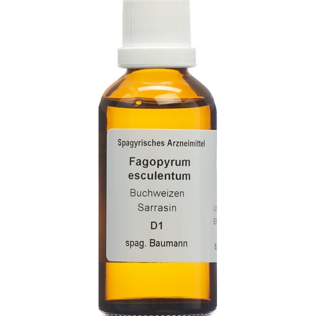 SPAGYROS SPAGYR Fagopyrum esculentum